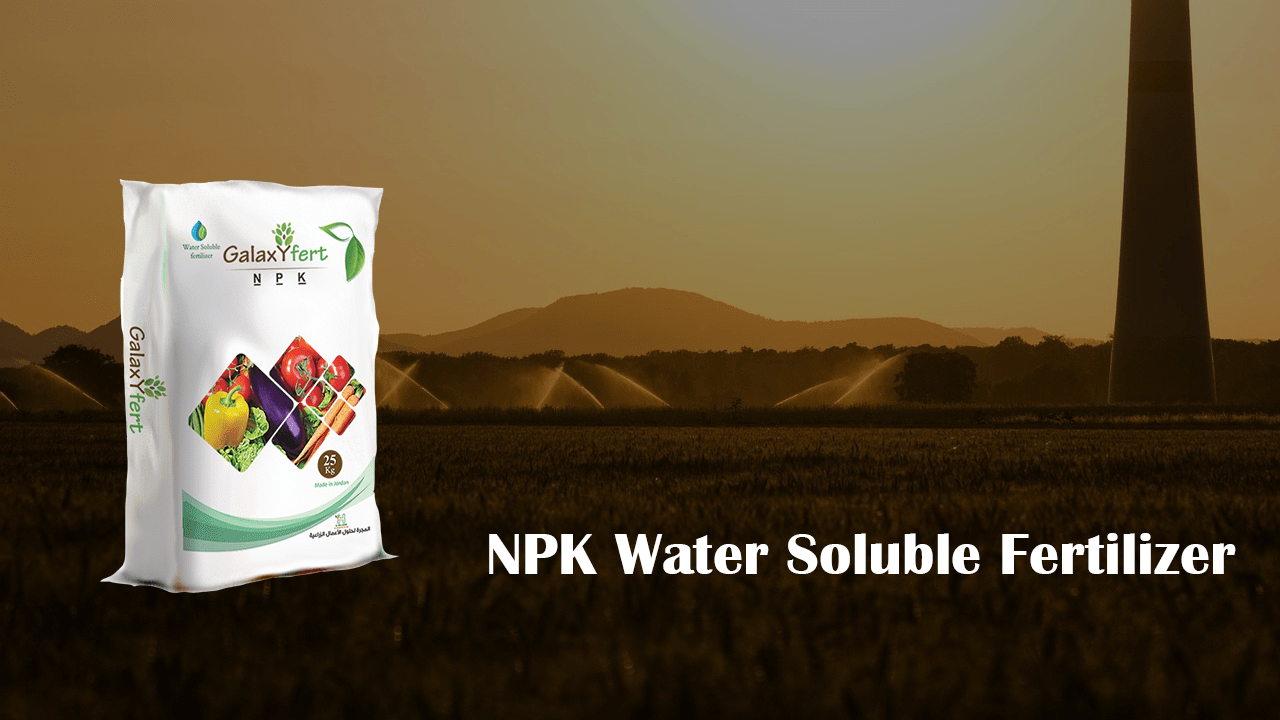NPK 100 Water Soluble Fertilizers ALMAJJARRA FOR AGRIBUSINESS SOLUTIONS