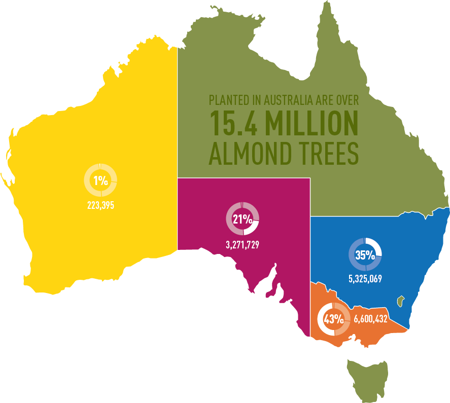 Our Almond Story Australian Almonds