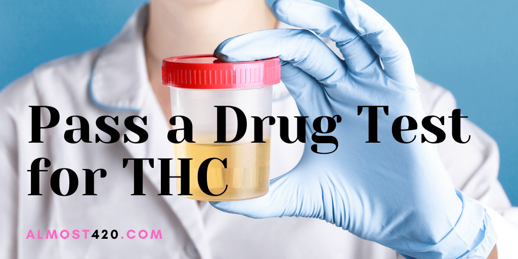 fastest way to pass a drug test (1) Almost 420