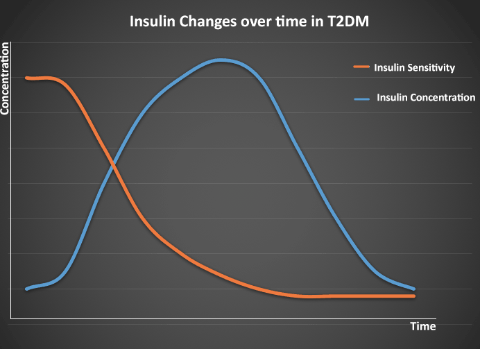 Type 2 Diabetes T2DM almostadoctor