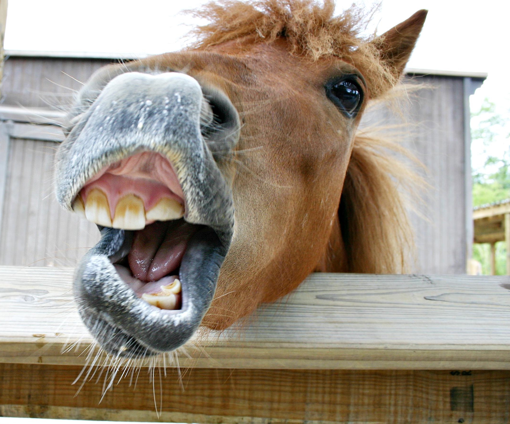 Writing Characters of the Opposite Gender Almost An Author