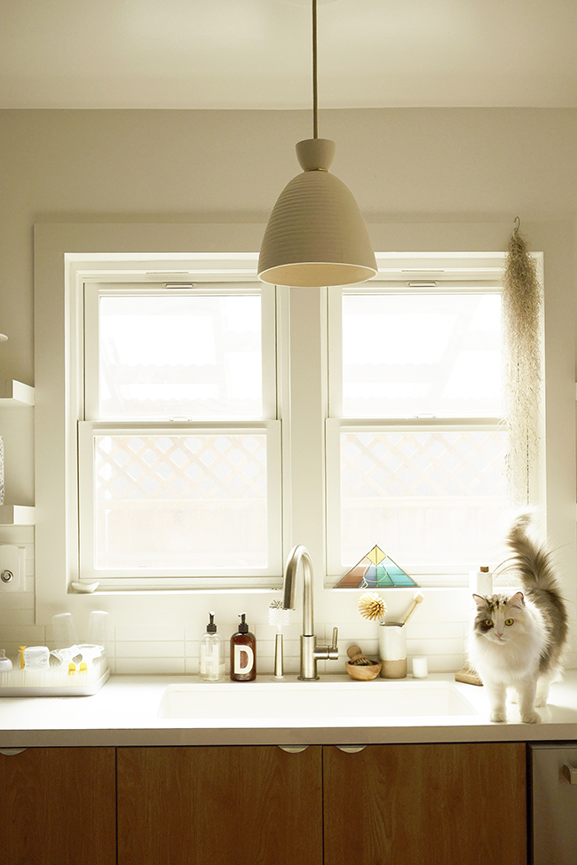 how to have nice furniture AND cats almost makes perfect