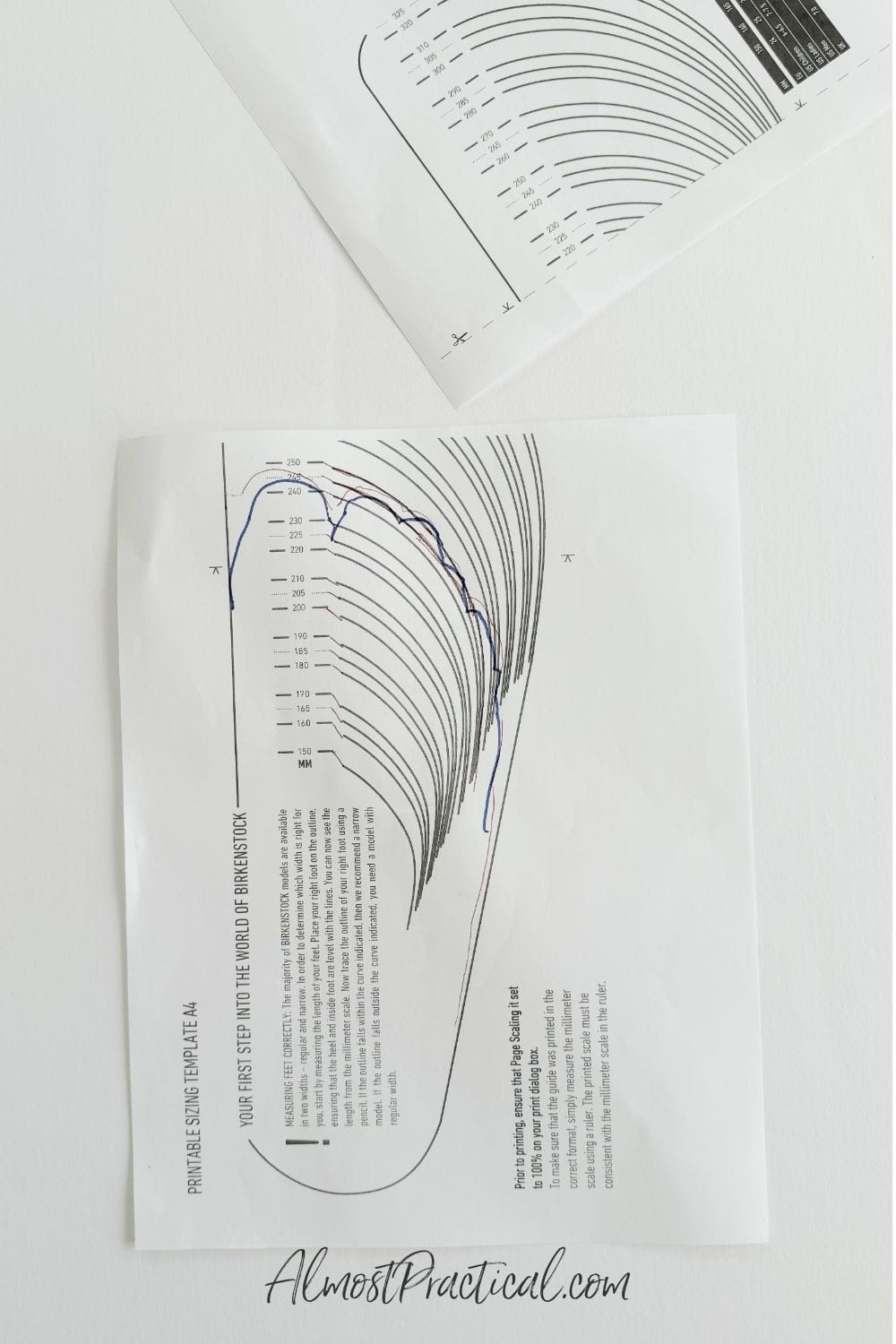 How to Find Your Shoe Size for Birkenstocks