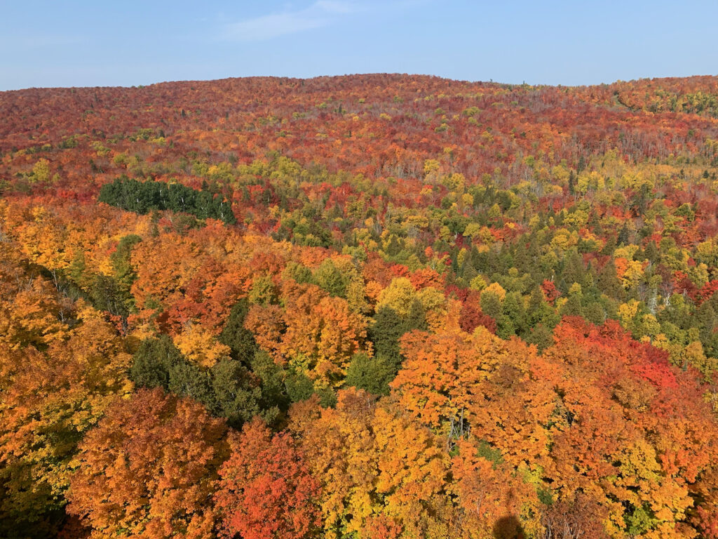 Best Hikes To See North Shore MN Fall Colors