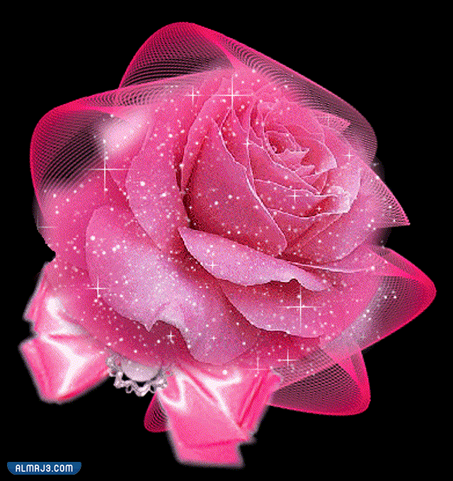 خلفيات وردية كيوت فخمة وهادئة للبنات 2022 موقع المرجع