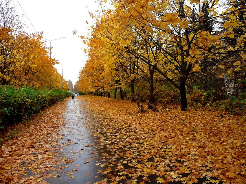 متى يبدأ فصل الخريف 2020 ومتى ينتهي الموقع المثالي