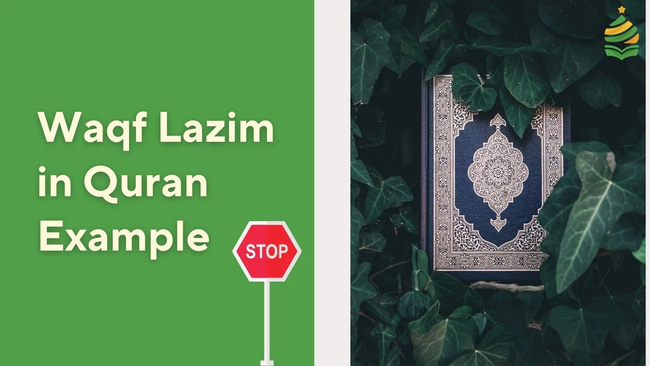 Waqf Lazim In Quran With Examples Almuhammadi Academy