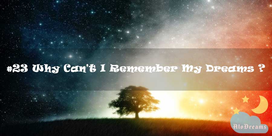 23 Why I Can Not Remember My Dreams
