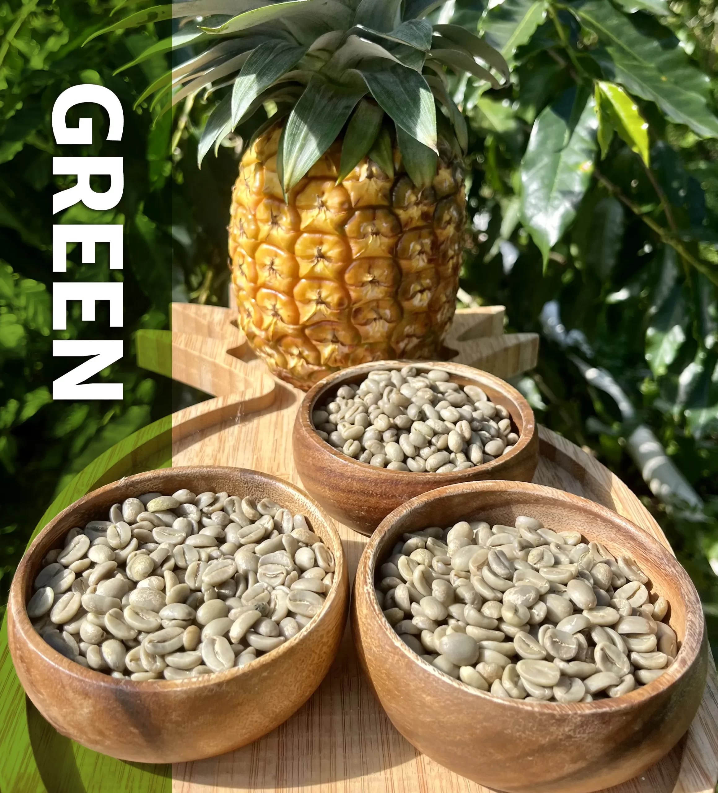 Green Kona Coffee Beans Aloha Kona Coffee Company