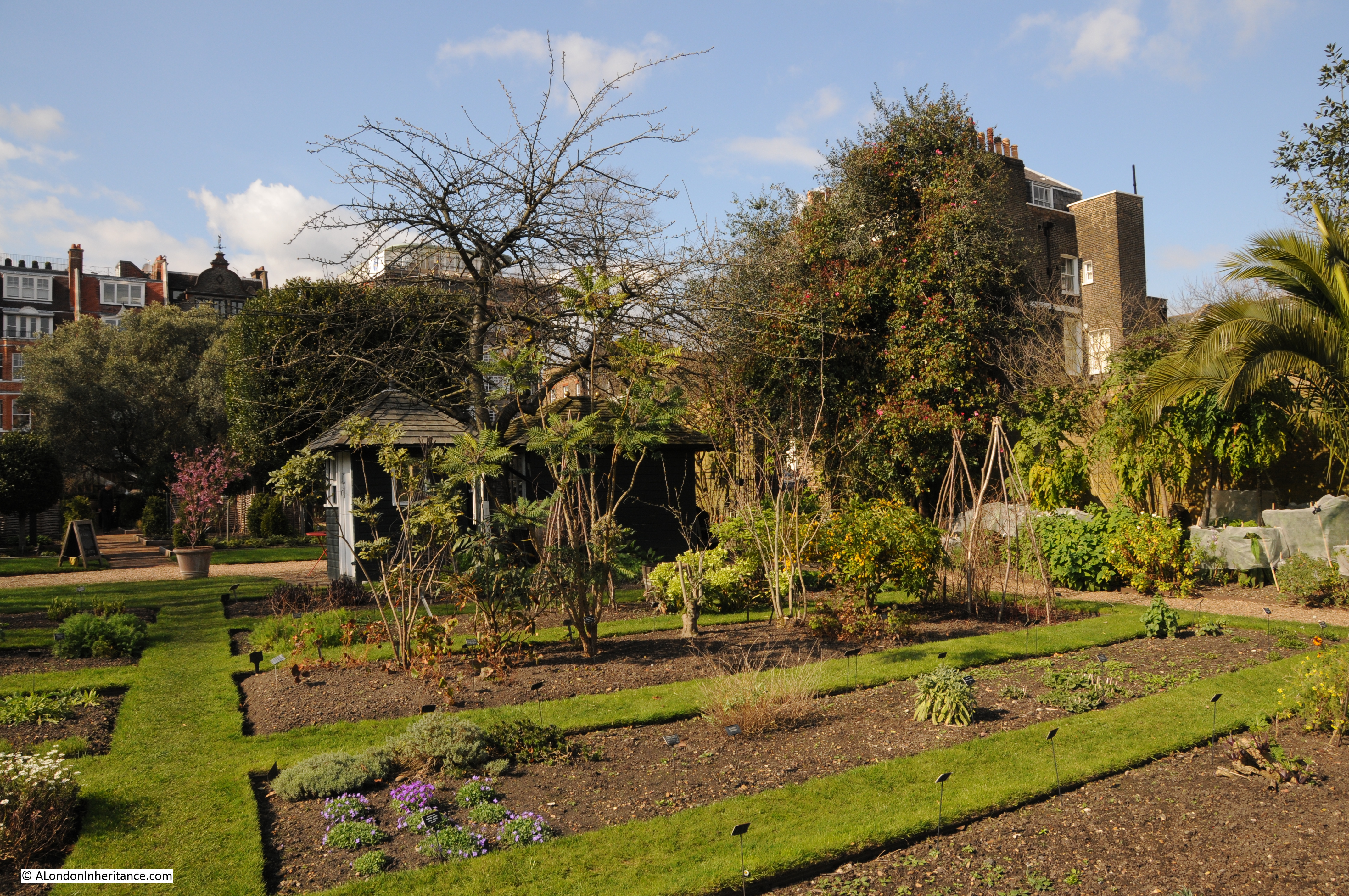 The Chelsea Physic Garden A London Inheritance