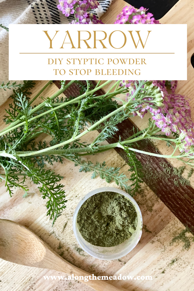 Yarrow Styptic Powder Recipe ALONG THE MEADOW