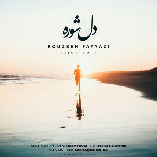 Rouzbeh Fayyazi Delshoore