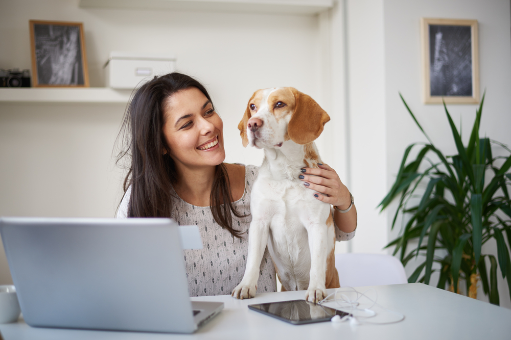 Eight Tips for Leaving a Dog Home Alone Aloropi Vet Center