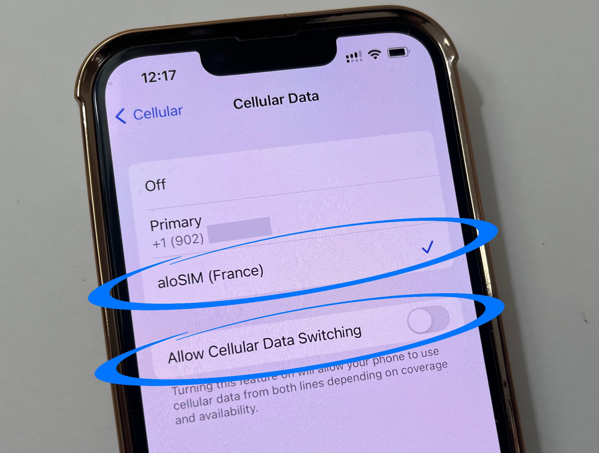 How to avoid data roaming charges on your iPhone aloSIM