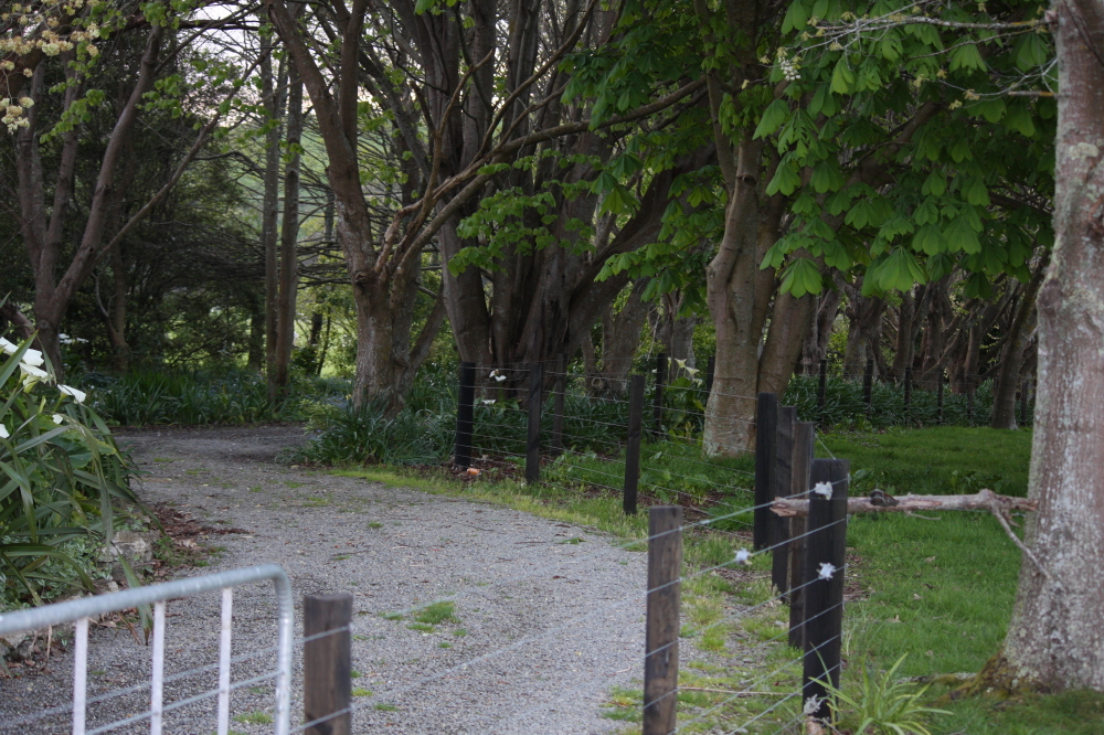 Thief of Hearts Visit Our Farm