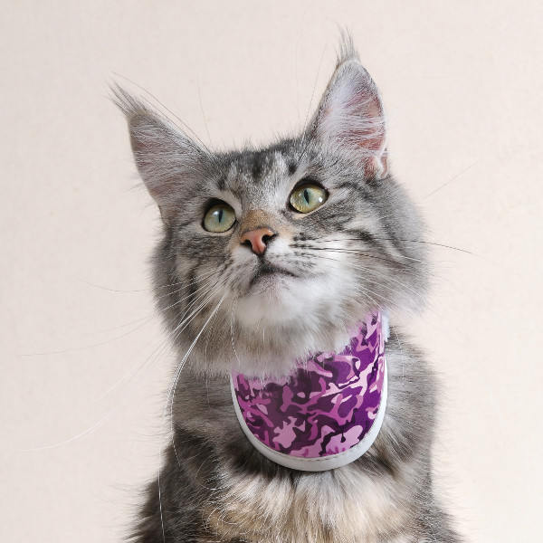 Balto Dog Neck Brace BT NECK Alpha Mobility USA Dog / Pet