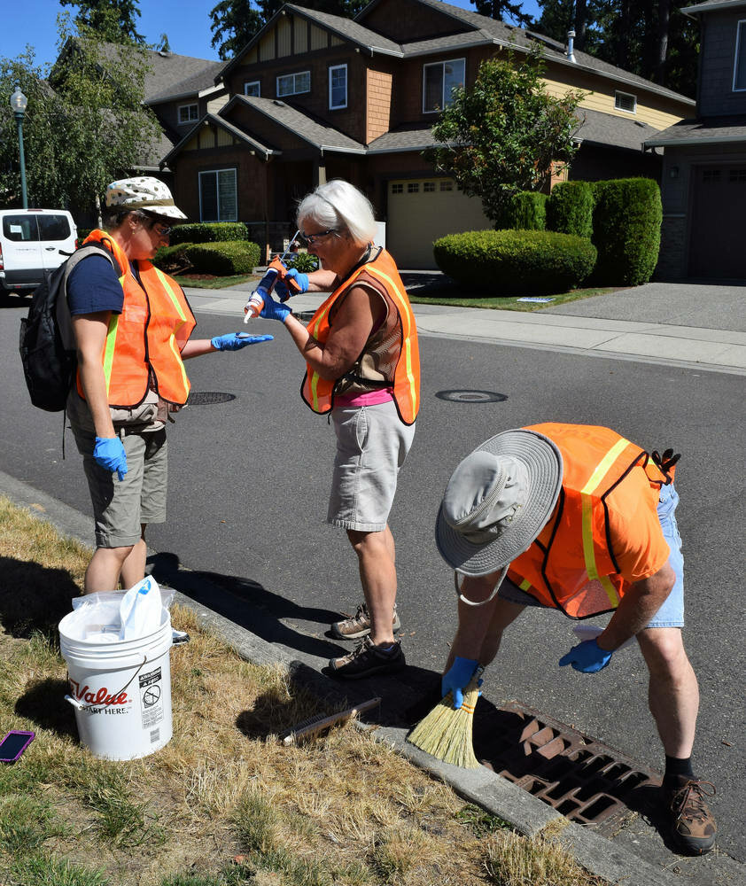 Drain markings aim to protect Puget Sound from pollution Mukilteo Beacon