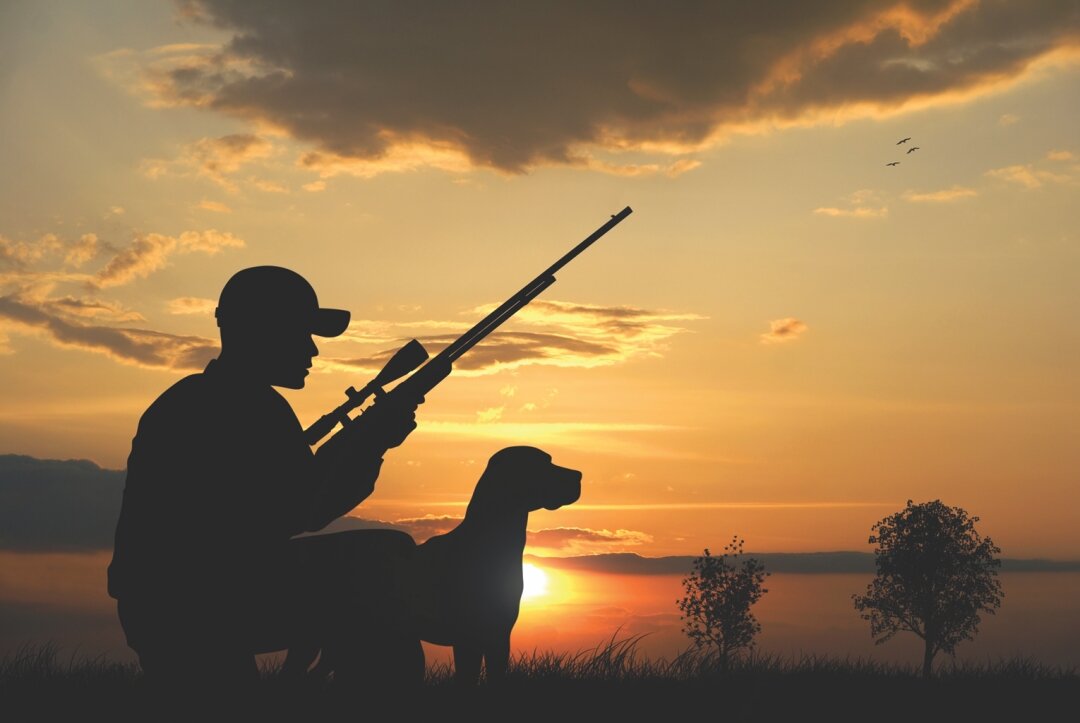 South Dakota agency partners with NRA for online hunter education