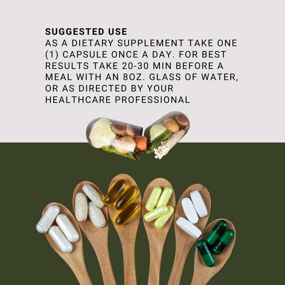 CoQ10 Ubiquinone Alpha Balanced