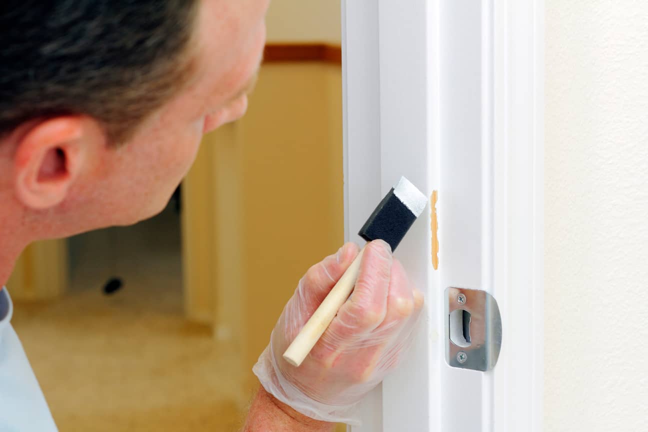 Easy Steps to Fix Chipped Paint on Your Wall Alpha Building Inspections