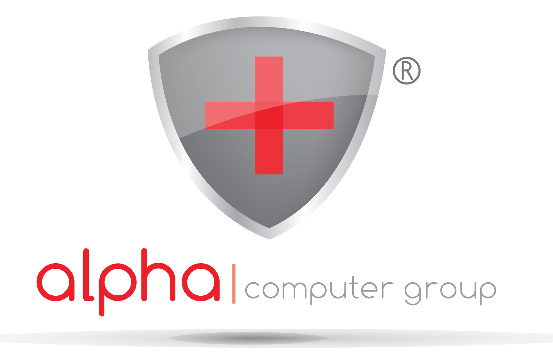 IP Security Cameras Video Surveillance Systems CCTV NYC Alpha