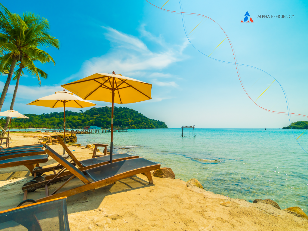 Travel website design ideas that will inspire Alpha Efficiency.™