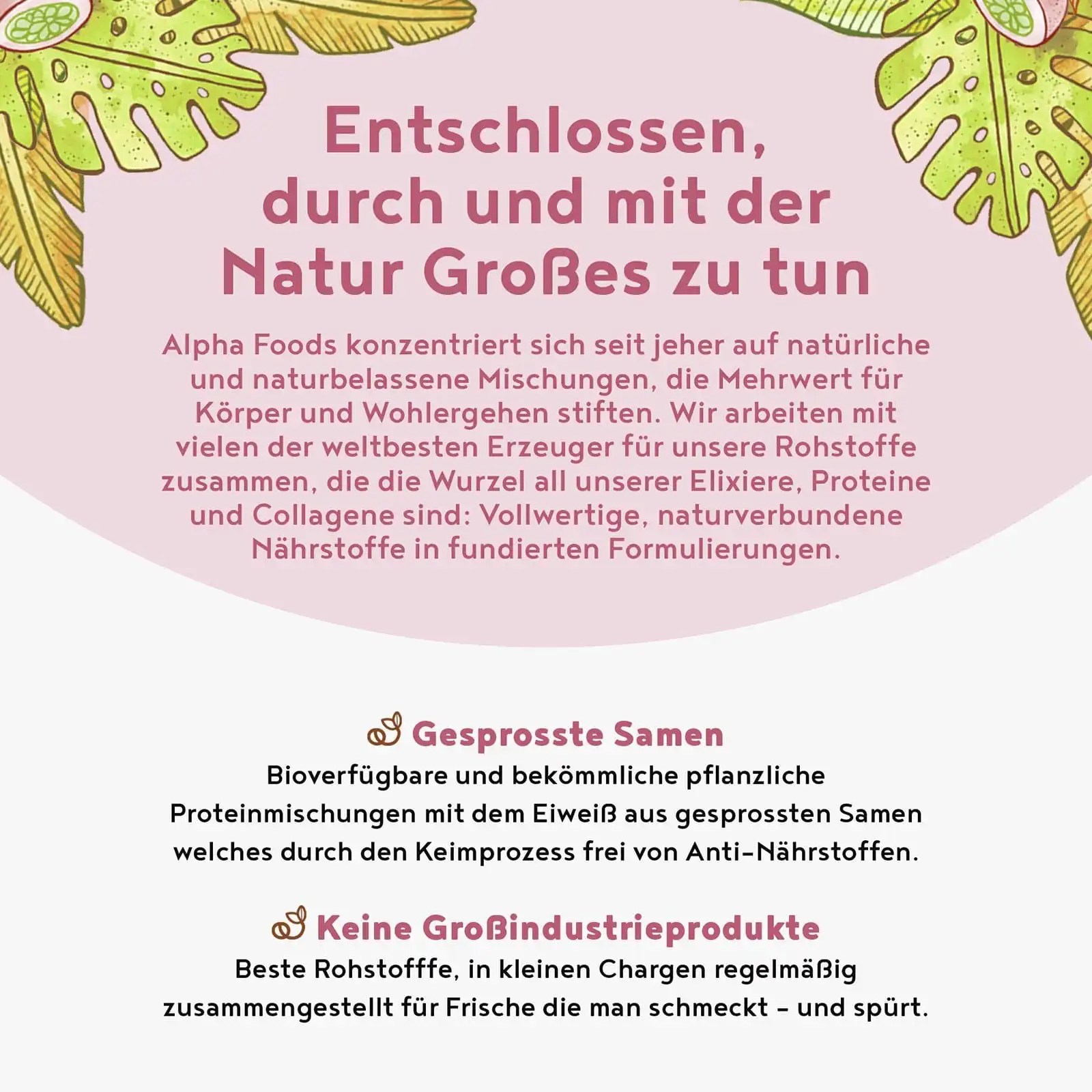 Vegan Protein HimbeerJoghurt Alpha Foods