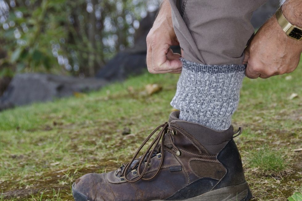 Alphagal Syndrome AGI Alphagal Information