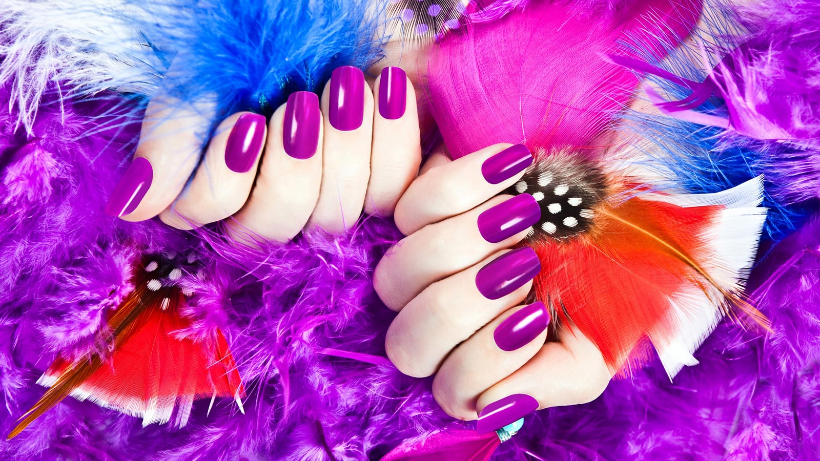 Alpha Nails & Spa US