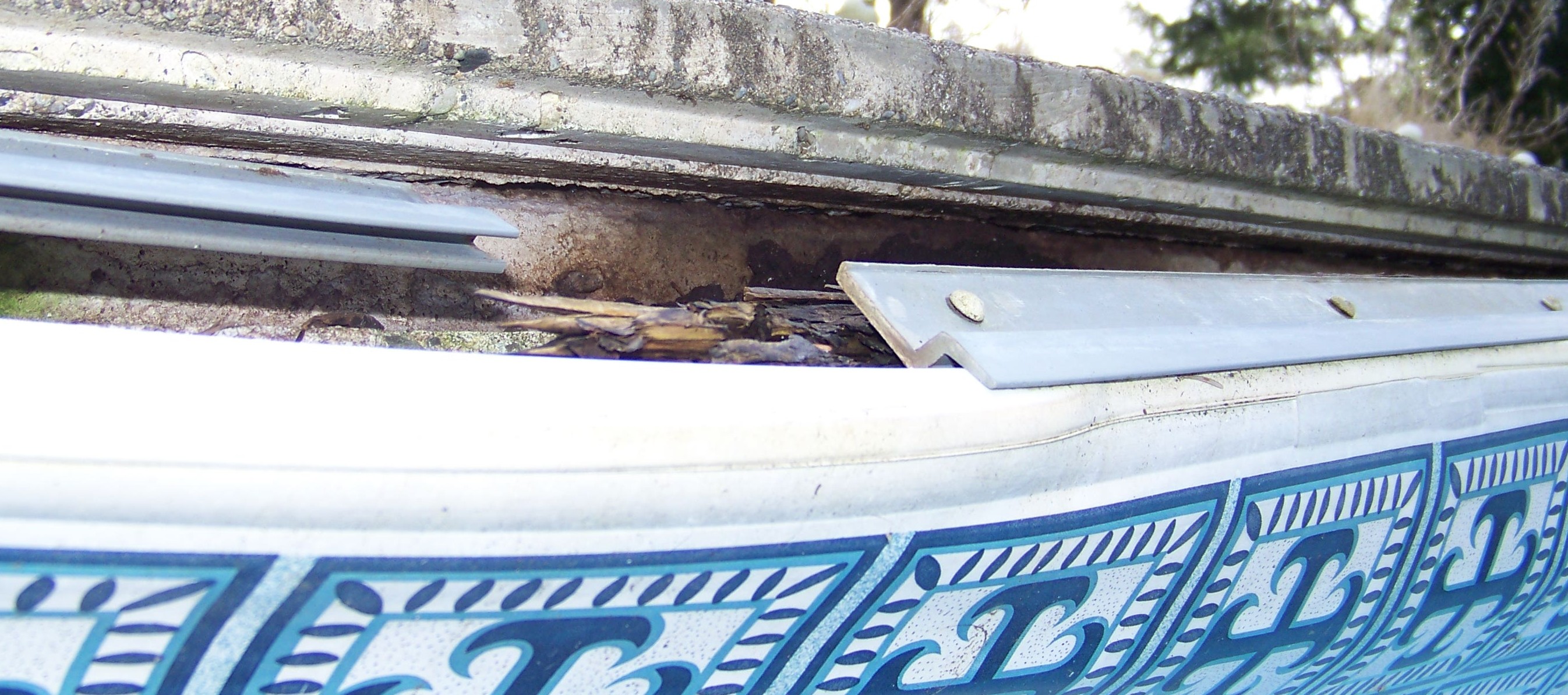 Alpha Omega Pools Liner Pool Renovation Specialist