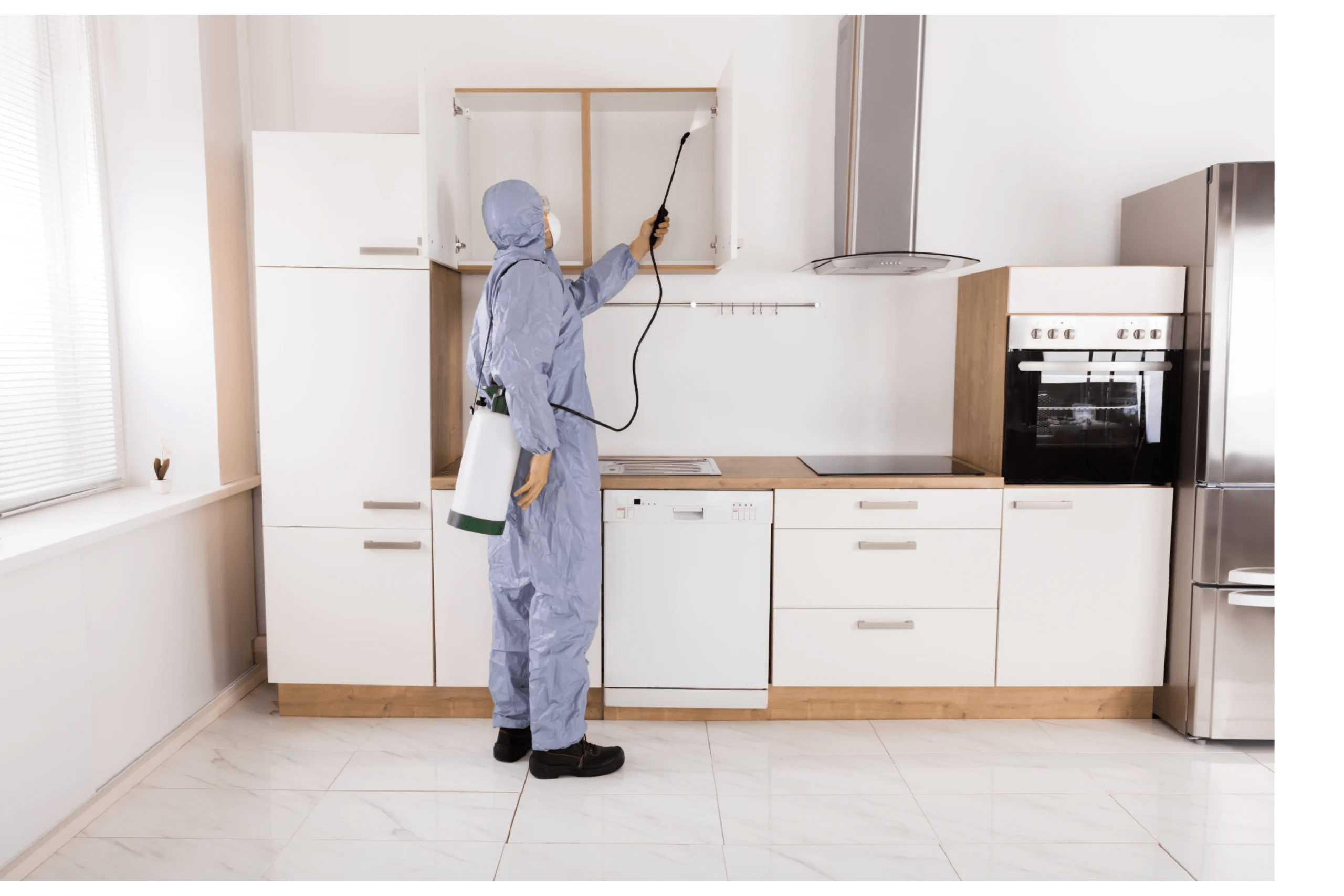 Expert Auckland Pest Control Services AlphaPest