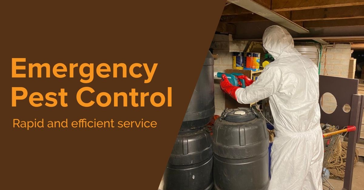 Pest Control Melbourne Same Day Pest Extraction Solutions & Services