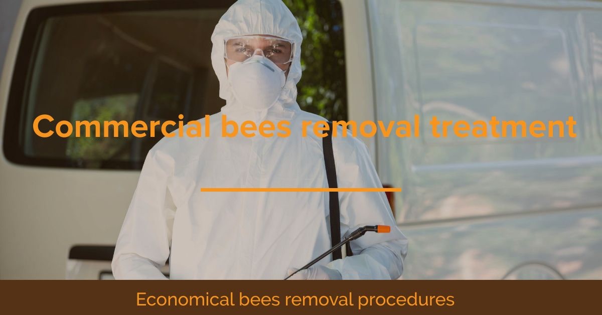 Bees Control Brighton Alpha Pest Control