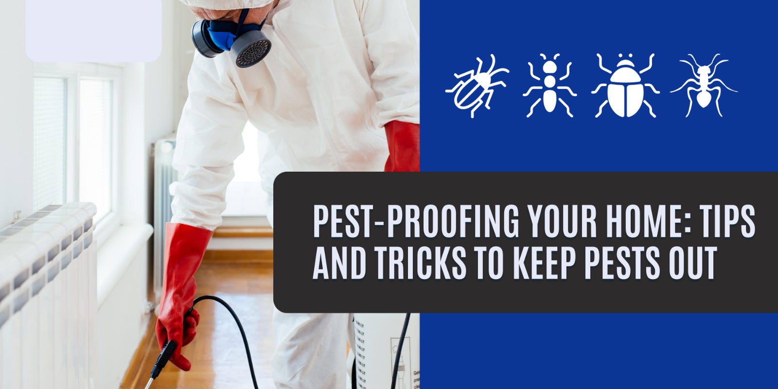 PestProofing Your Home Tips And Tricks To Keep Pests Out Alpha Pest