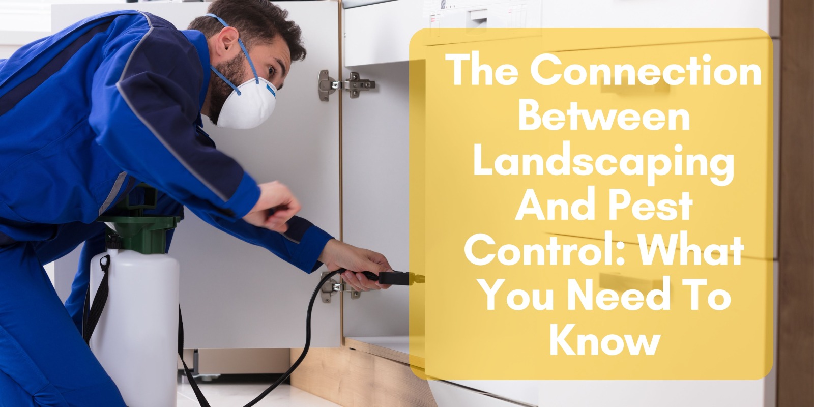 The Connection Between Landscaping And Pest Control What You Need To