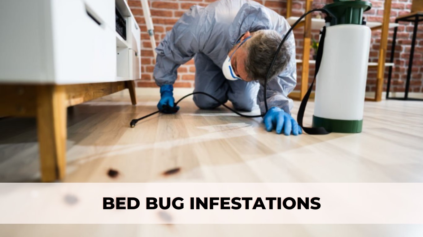 Bed Bugs infestations There is a growing demand for effective and long