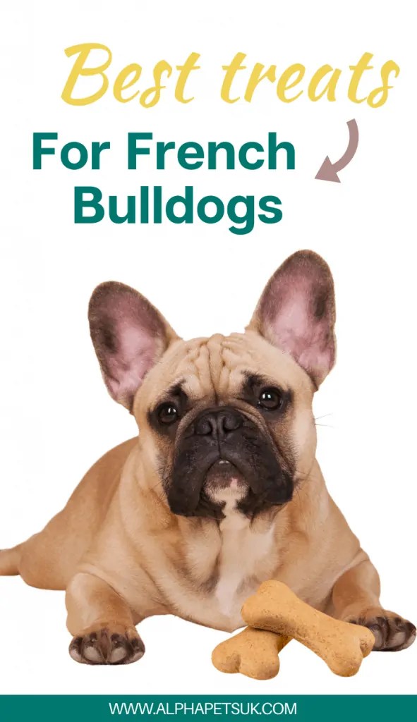 Best Treats For French Bulldogs Top Dog Treats For Training Bulldogs