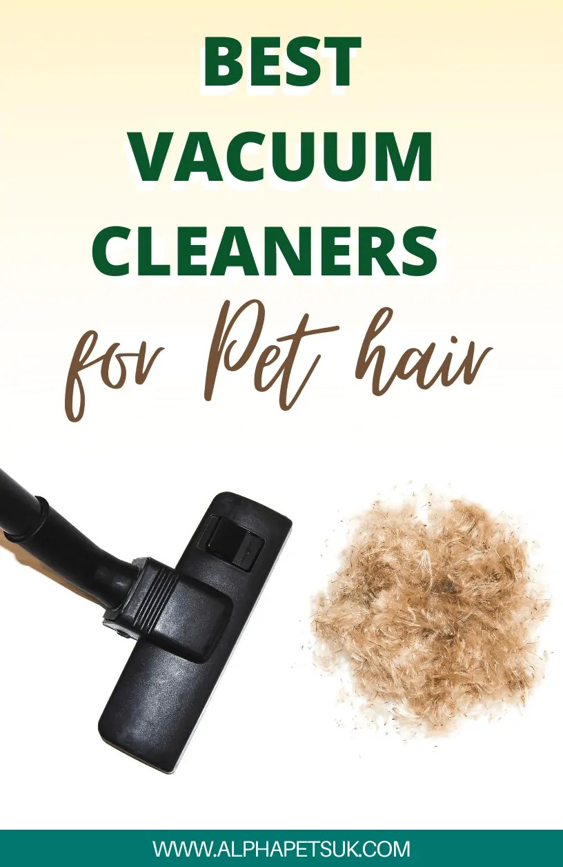 Best Rated Vacuum Cleaners For Removing Pet Hair From Hardwood Floors