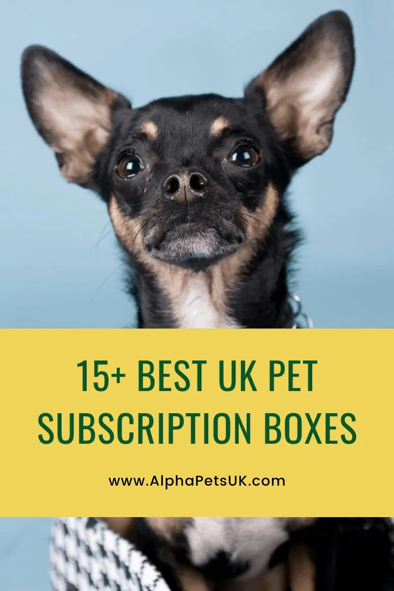 Best Dog Subscription Boxes Europe & UK Monthly Pet Subscription Gift