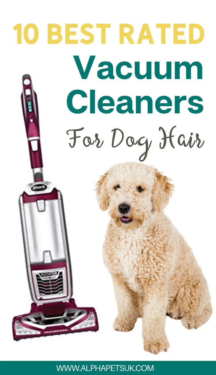 Best Rated Vacuum Cleaners For Removing Pet Hair From Hardwood Floors