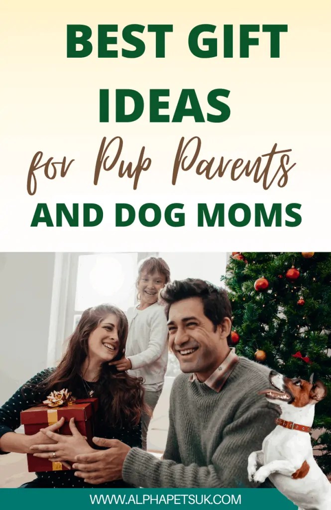Totally Pawsome Gift Ideas For Dog Lovers 15 Things To Get For Your