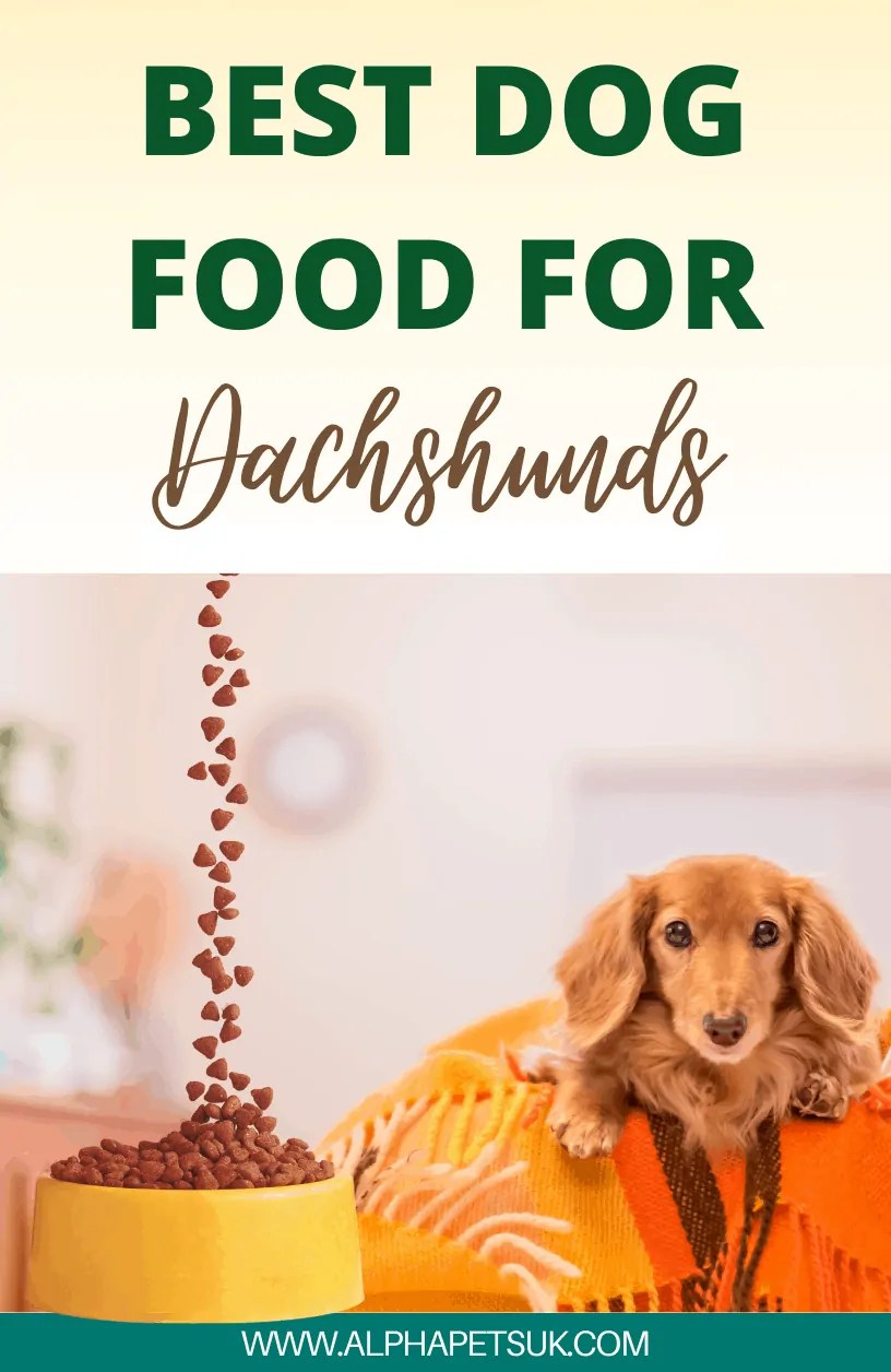 Best Puppy Food for Dachshunds Top Rated Diet & Dog Food Brands For