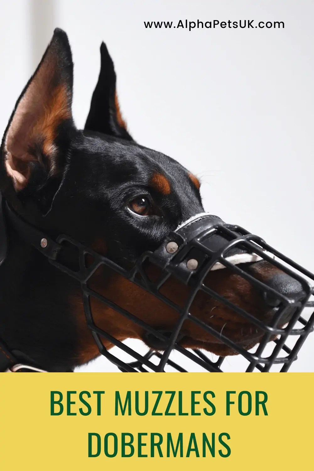 Best Muzzles For Dobermans Safe & Comfortable Muzzles For Large Dog