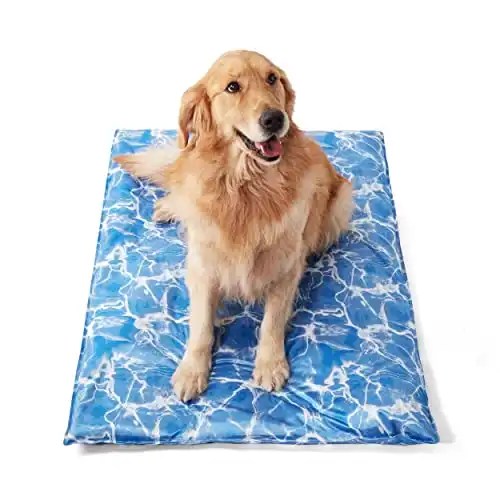 Do Pet Cooling Mats Work? Alpha Pets UK