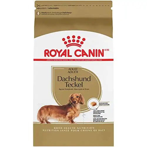 Best Puppy Food for Dachshunds Top Rated Diet & Dog Food Brands For