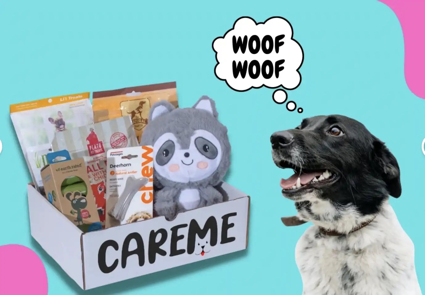 Best Dog Subscription Boxes Europe & UK Monthly Pet Subscription Gift