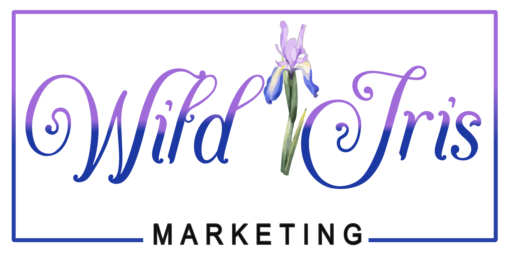 The AlphaPixel Companies