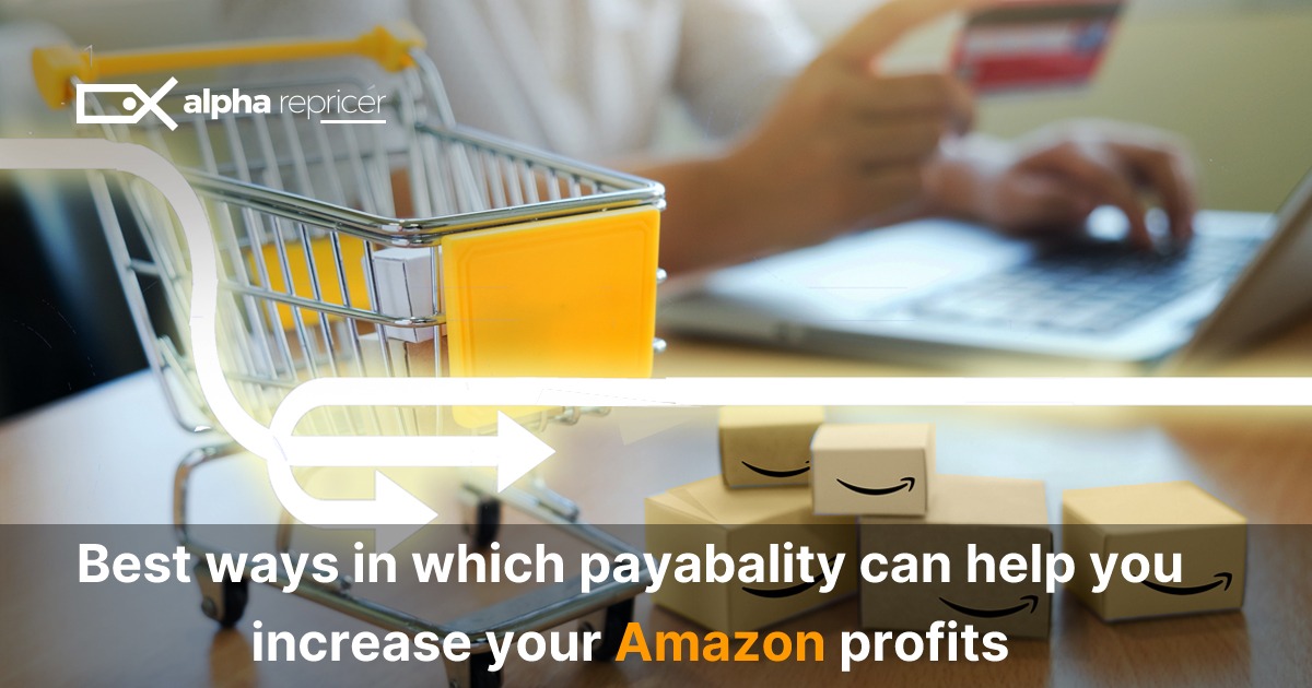 Best ways in which Payability can help you increase your Amazon Profits