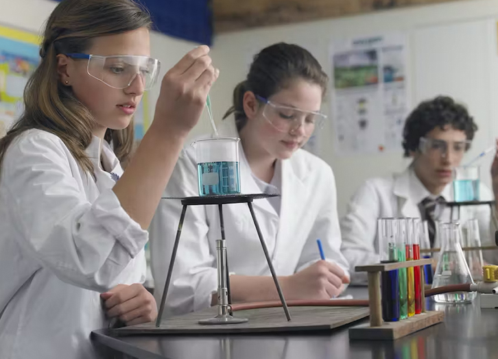 GCSE Archives Alpha Tutorials College