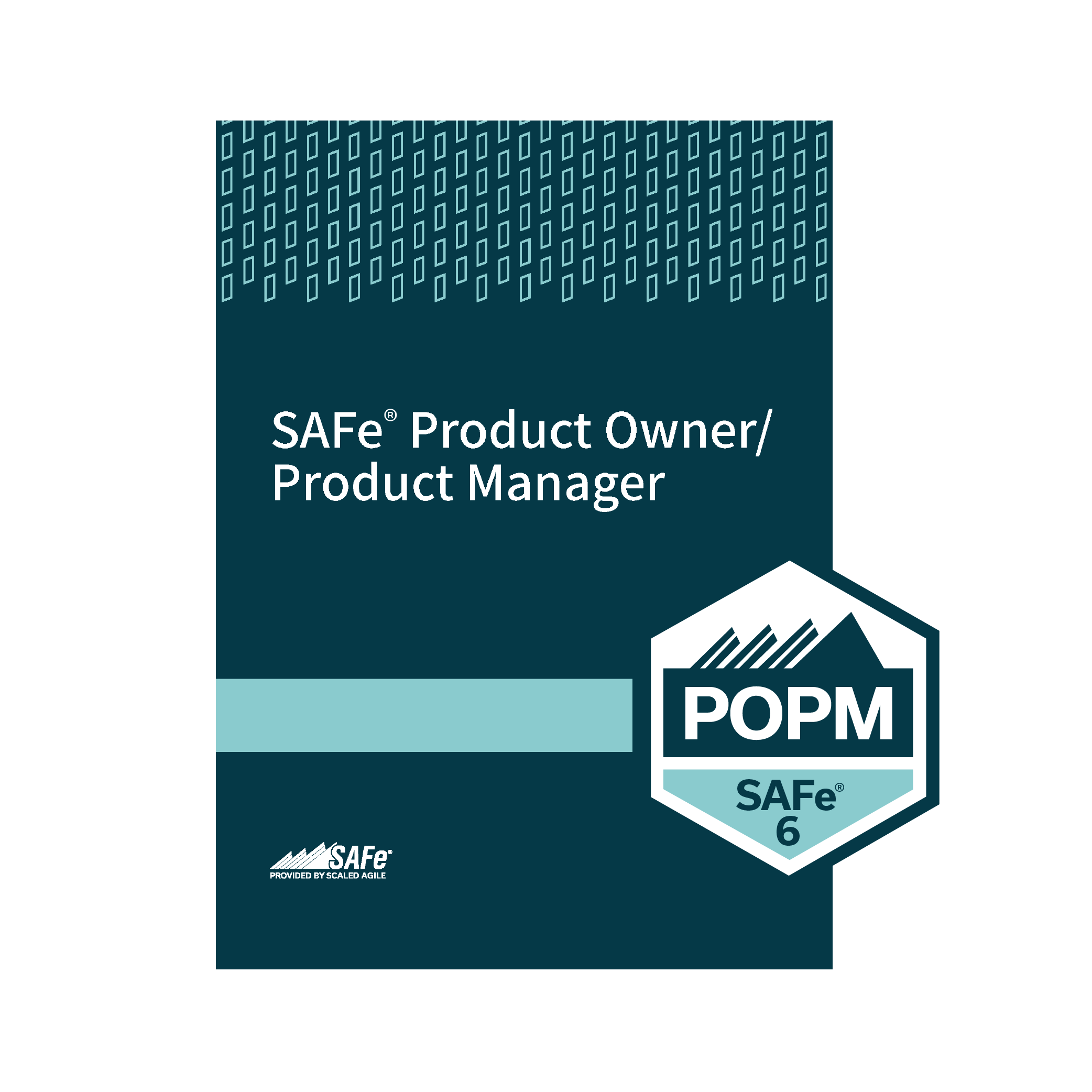 SAFe® POPM Archives Alpha 20 Group